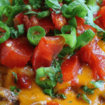 Steak Queso Rice Recipe